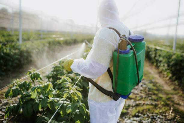 Reliable Kendale Lakes, FL Pest Control Solutions